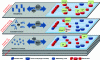 Figure 26 - Network slicing (source: NGMN White paper)