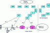 Figure 7 - 5G architecture (with traffic egress into the visited network)