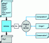 Figure 2 - IS traceability, questions and actions