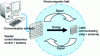 Figure 5 - RFID system: information exchange