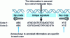 Figure 7 - Synthetic DNA tagging (from Trace Tag Europe)