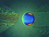 Figure 8 - Film thickness of a herzian contact underfilled with lubricant