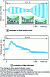 Figure 10 - Evolution of friction force and mixed surfactant-copolymer film thickness between two mica surfaces