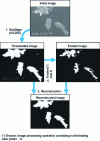 Figure 5 - Example of image processing (from [21])