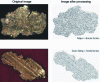 Figure 6 - Image analysis of two wear particles