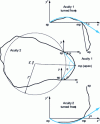 Figure 8 - Example of acuity parameter calculation (after [11] [22])