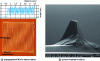 Figure 39 - AFM topography of a Si (001) silicon lattice and truncated Si tip [24].