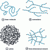 Figure 2 - Different macromolecular chain configurations