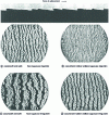 Figure 26 - Sawtooth" wear pattern produced by the friction of rubbery materials on different surfaces