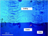 Figure 10 - Two series of partial conical fractures resulting from friction between a sphere and a silicon nitride-coated glass surface