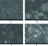 Figure 1 - SEM images of the smooth surface of UHPC molded with a PVC mold (a, c) and the more porous surface of UHPC molded with a POM mold (b, d).