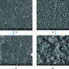 Figure 13 - SEM images of UHPC surface after demolding (a, c) and after growth of calcium carbonate crystal efflorescence (b, d)