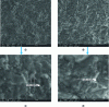 Figure 9 - SEM images of the surface of UHPC molded with a PVC mold (a, c) and a POM mold (b, d) after sandblasting the surface.