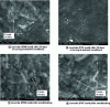 Figure 13 - SEM images showing surfaces of concrete (POM mould) after 28 days curing at ambient conditions, concrete (PVC mould) after 28 days curing at ambient conditions, concrete (POM mould) after sandblasting and concrete (PVC mould) after sandblasting.