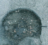 Figure 19 - Photo of pothole