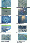 Figure 25 - Various modes of deterioration and wear of road surfaces