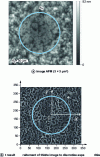 Figure 16 - AFM image of gold thin-film surface after 2 mN spherical nano-indentation