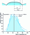 Figure 20 - Asperity radius distribution (rasp,i) for gold thin film before spherical nano-indentation at 2 mN