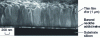 Figure 7 - Cross-section of pure gold thin film deposited on silicon