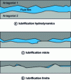 Figure 5 - Lubrication regimes as a function of antagonist separation by the hydrodynamic fluid film