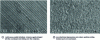 Figure 5 - The two final surface aspects of specimens subjected to abrasion in the Calotest® test (CSM Instruments now Anton Paar) (ball/plane) (after [9])