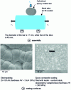 Figure 2 - Experimental set-up to study the – friction transfer relationship