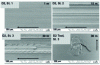 Figure 24 - Observations on D2 tool steel plate and disc, at the three stages of drift to seizure (from [18]).