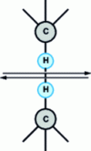 Figure 15 - Adhesive interactions due to Van Der Waals bonds between hydrogen atoms in the friction zone