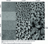 Figure 48 - SEM images of 316L steel surfaces after laser texturing (after [31])