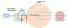 Figure 27 - Braking force measurement