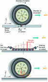 Figure 5 - Third case: undeformable ground, deformable wheel