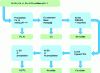 Figure 11 - Examples of hydrometallurgical separation processes for blackmass leaching solutions (based on the process proposed by Solvay)