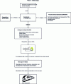 Figure 7 - Phase 1: vehicle design