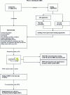 Figure 8 - Phase 2: Obtaining authorization for commercial operation (AMEC)