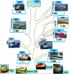 Figure 10 - The TGV family tree: ancestors, French TGVs and export TGVs