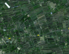 Figure 23 - Natural protection by curtains of trees along the TGV line (Google Earth)