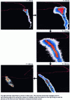 Figure 12 - Visualization of the flash sweep under the fuselage of the Transall C160 aircraft