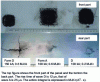 Figure 18 - Damage to a carbon composite panel caused by injection of a current pulse (after [34])