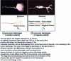 Figure 3 - Views of the horizontal propagation of positive and negative polarity laboratory precursor discharges (after [9]).