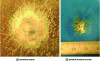 Figure 31 - Damage zones created by a type A test wave (100 kA peak) on a bare and painted aluminum panel (from [50])