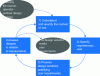 Figure 15 - User-centered design cycle (NF ISO 9241-210)