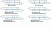 Figure 1 - Load transfer in a single overlap adhesive joint (bolting) in initial position ((a) or (d)), in final position with non-deformable structural elements ((b) or (c)), in final position with deformable structural elements ((c) or (f))