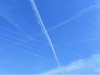 Figure 7 - Trajectories formed by contrails in the Toulouse sky (April 2023)