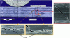 Figure 25 - Blocking debris after impact: in matrix cracking and delamination