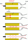 Figure 6 - Combustion stages of a solid-propellant engine