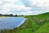 Figure 1 - Levee of the Loire at low water at Sigloy (Nicolas Auger, DREAL Centre)