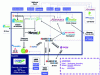 Figure 14 - Synergies at the Roussillon chemical platform (source: GIE Osiris)