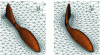 Figure 21 - Simulation of a fish swimming using an arbitrary lagrange-euler method (source: Alban Leroyer, École centrale de Nantes)