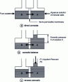 Figure 11 - Osmotic phenomenon