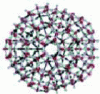 Figure 8 - Icosahedral model of water (after M. Chaplin [55])